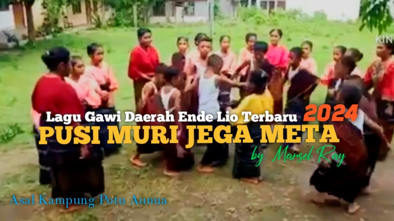 Gawi//PUSI MURI JEGA META//Lagu Tarian Daerah Ende lio//Marsel Ray//terbaru2024