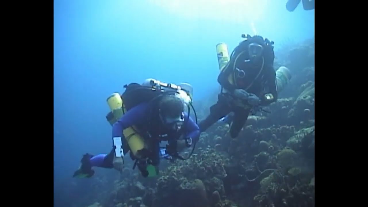 Bonaire Diving Adventure: Shipwrecks, Night Dives, and More! August 2002