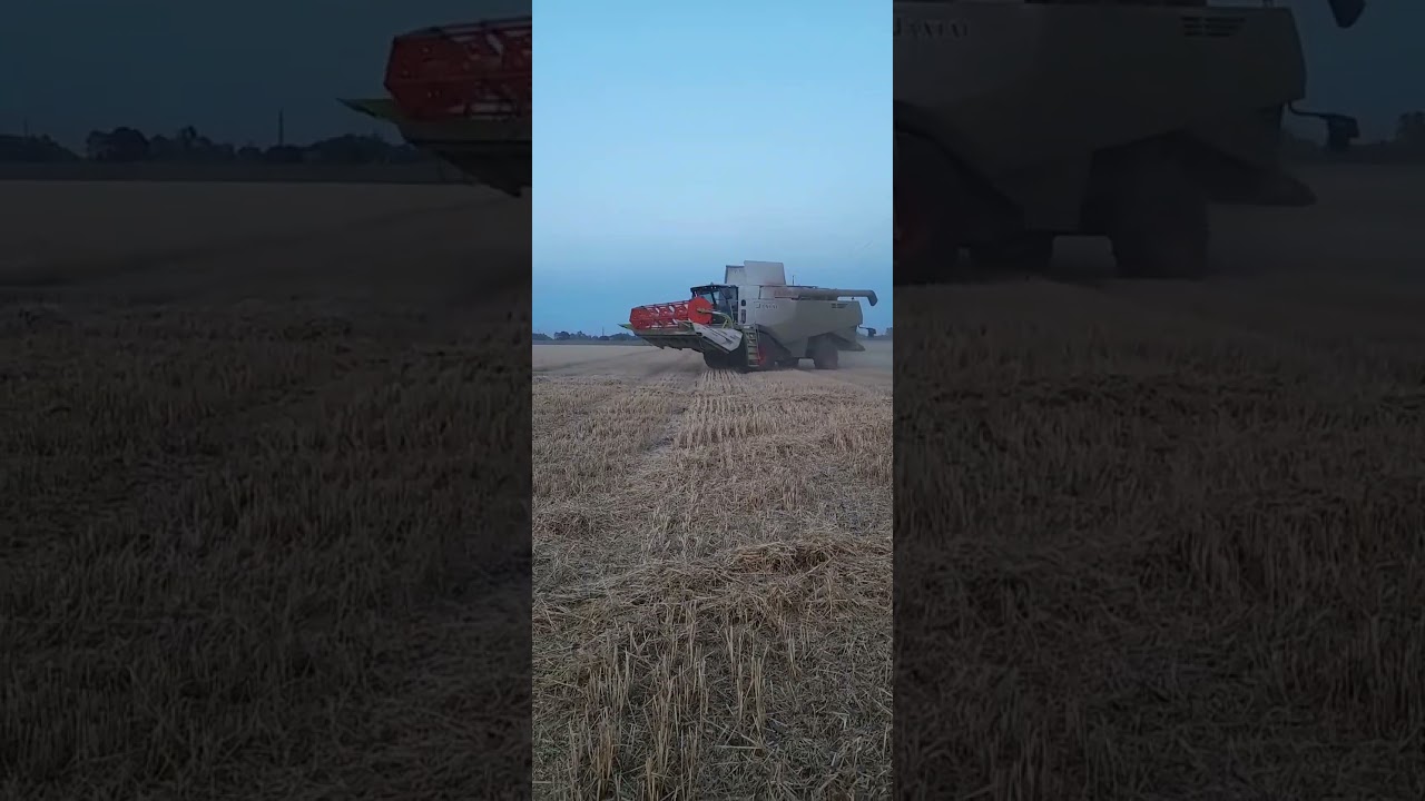 elmaradt nyári kis videó aratás claas lexion 650