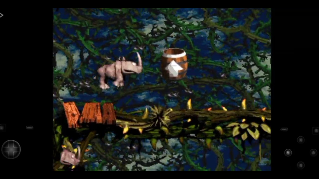 DKC2 Rambi's Revenge romhack - Bramble Scramble