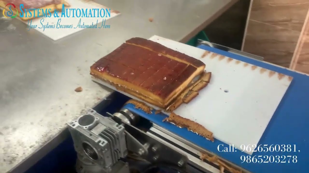 Continuous Production Conveyor Cutting Machine. @systemsautomation6210