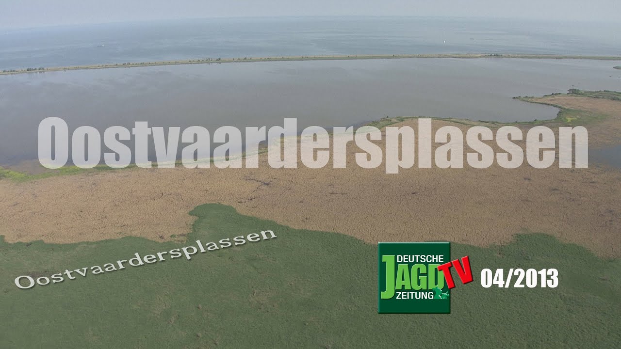 Naturschutzgebiet Oostvaardersplassen