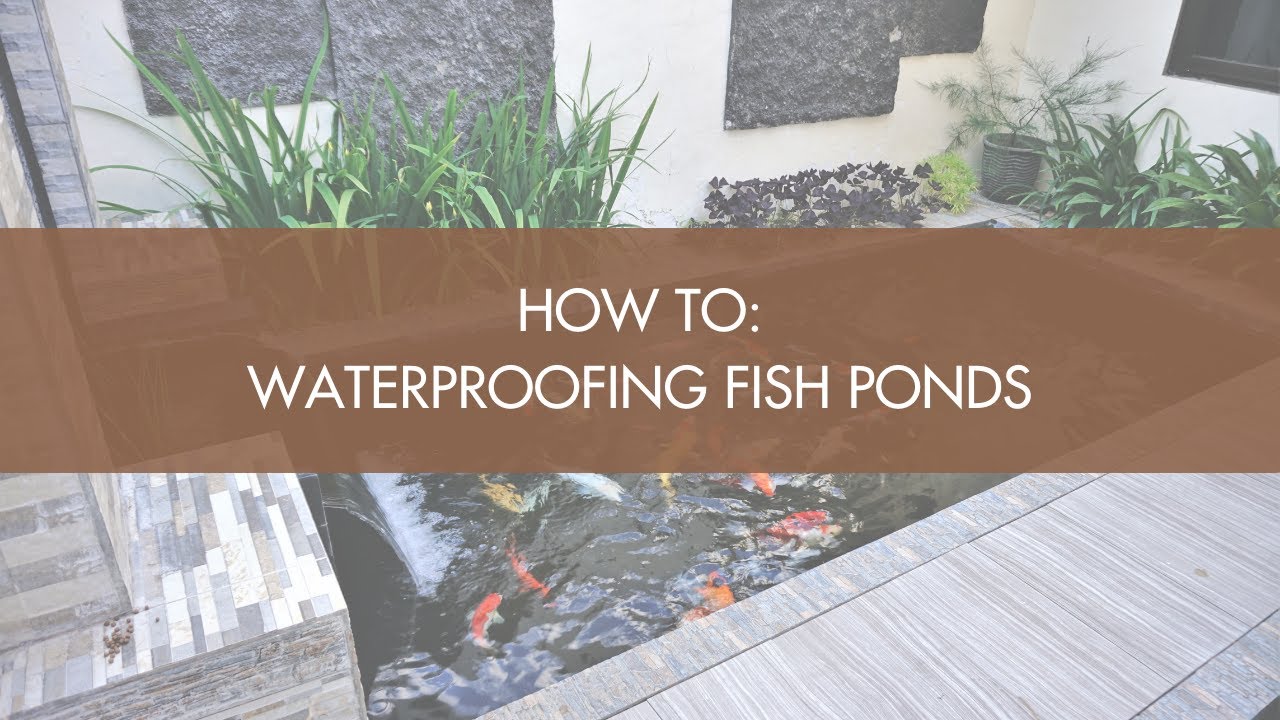 How To: Waterproofing Fish Ponds
