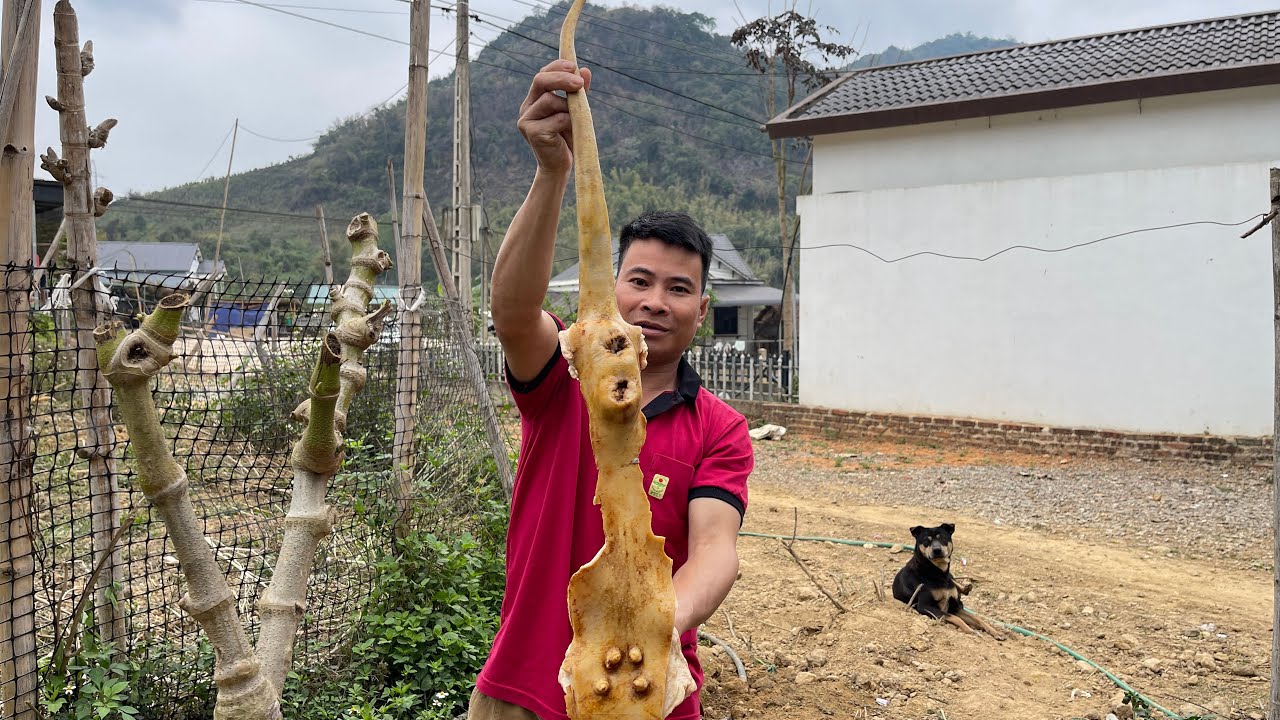 PHẦN THƯỞNG ĐẶC BIỆT / Vĩnh Vlog