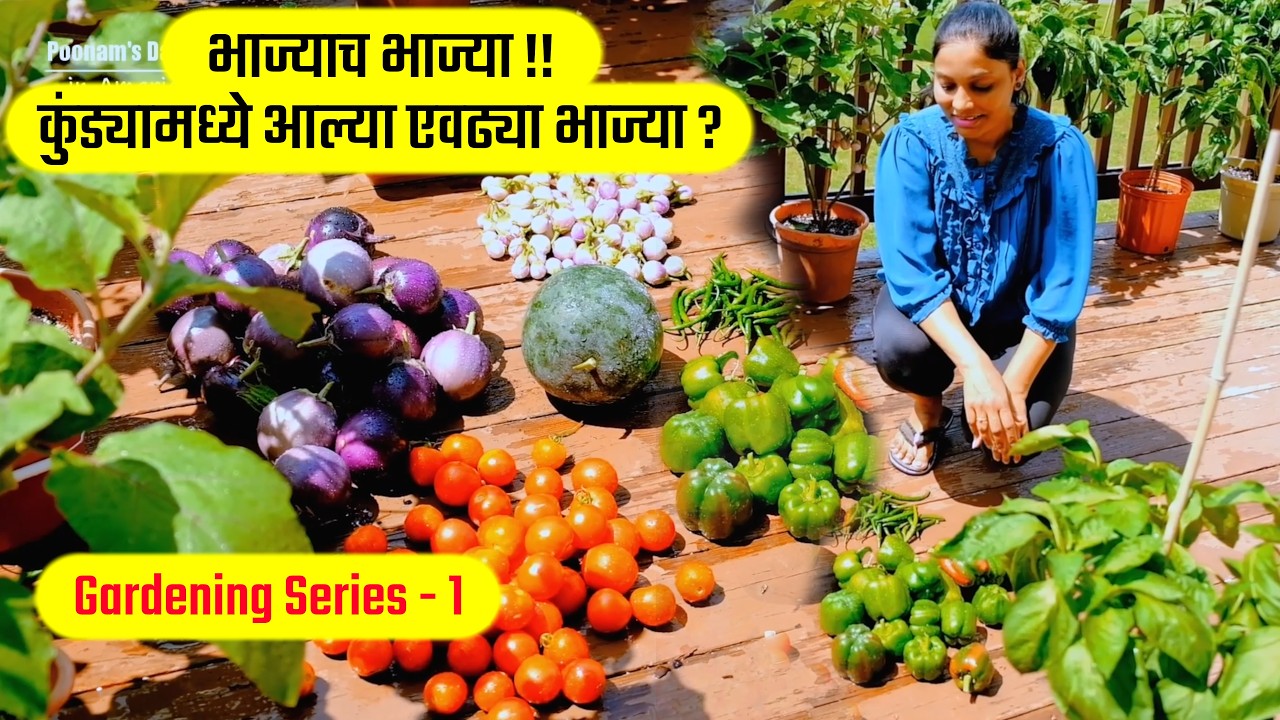 भाज्याच भाज्या !! कुंड्यामध्ये आल्या एवढ्या भाज्या ? Container Garden, Vegetable Harvest, Gardening