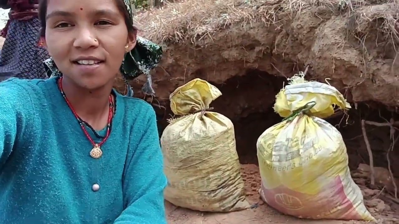 आज जंगल में गाय के साथ दीदी जी ने सुनाया गाना👌👌