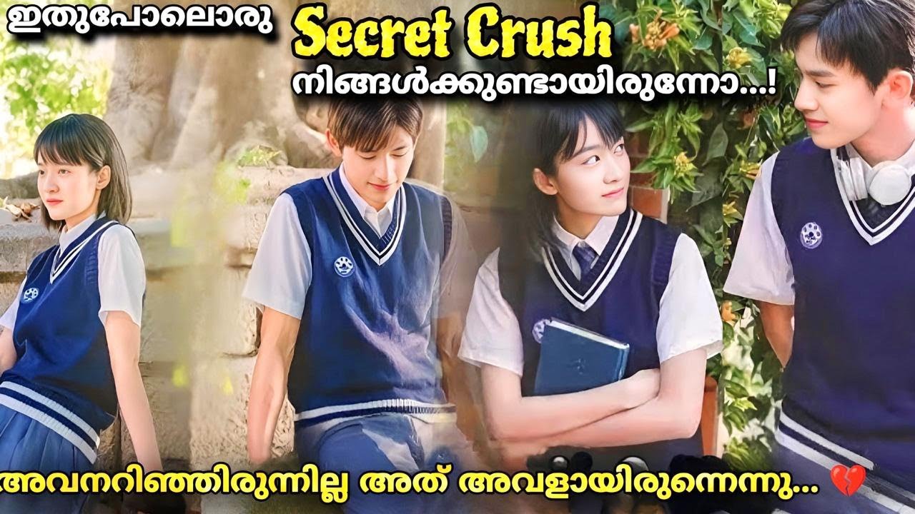 My blue summer summer Chineese Love movie explained malayalam