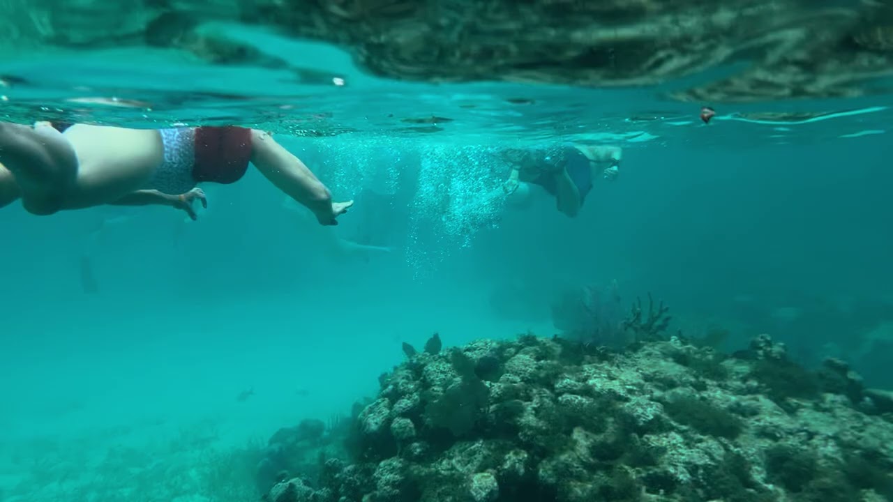 260107 Snorkeling in Belize 