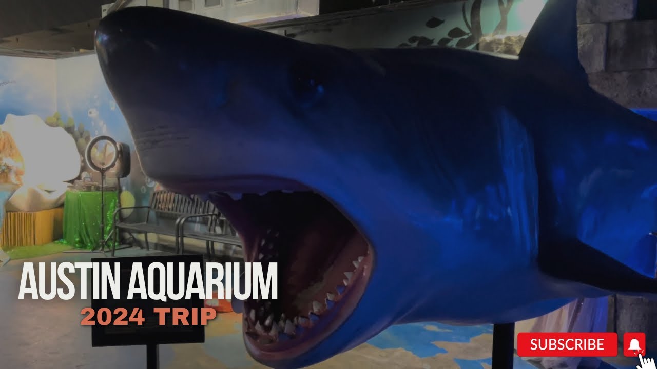My trip to the 2024 Austin Aquarium