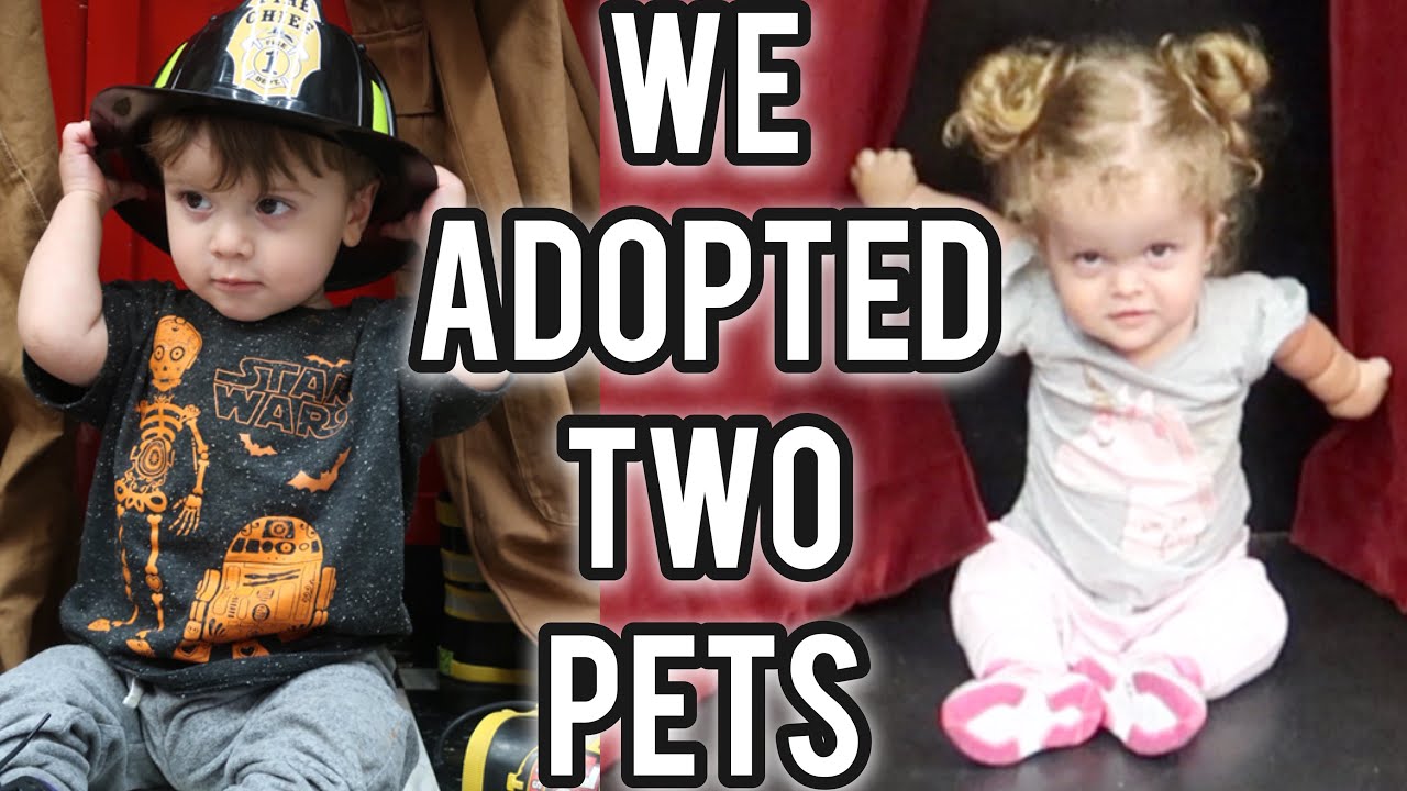 WE ADOPTED TWO PETS FROM THE LA HABRA CHILDRENS MUSEUM VLOG 167