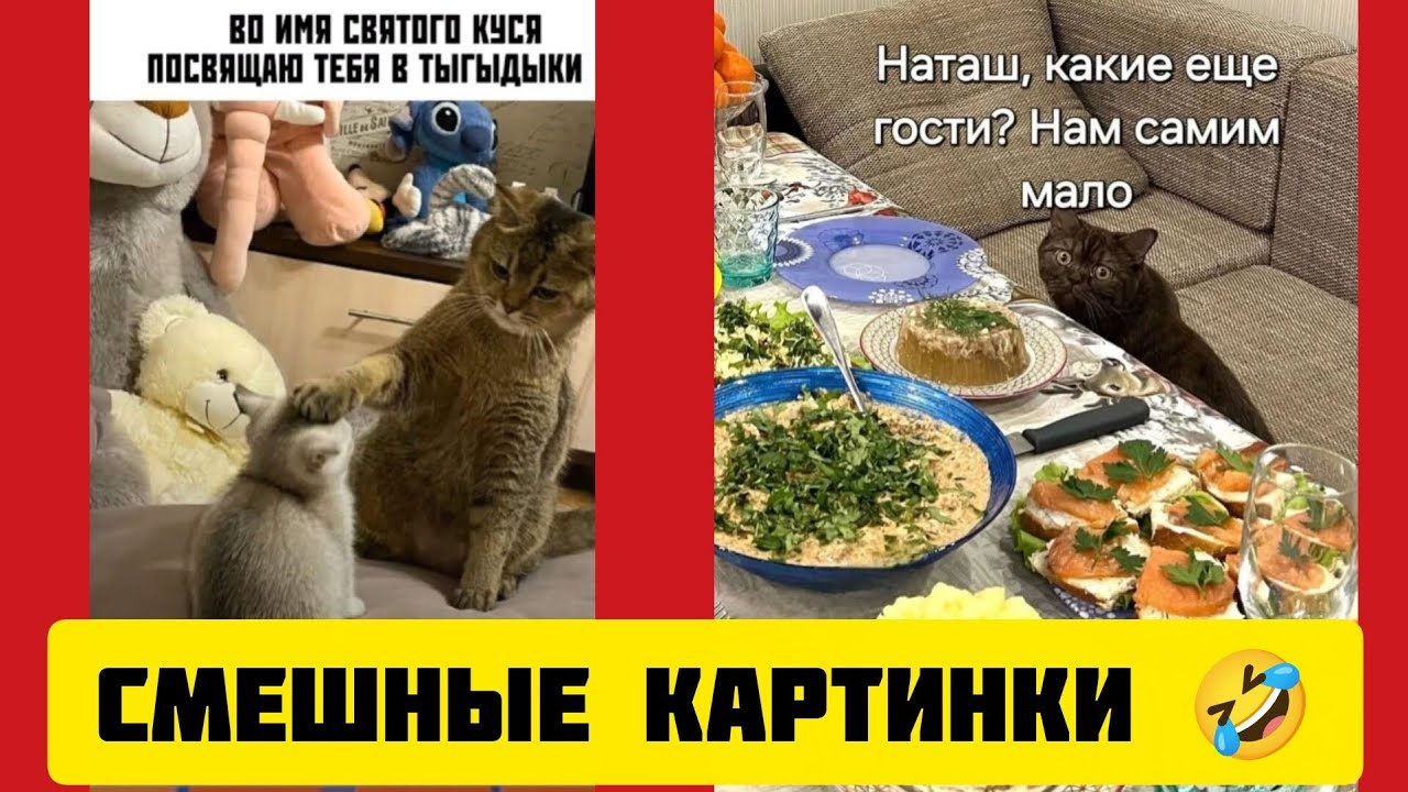 Наташ, какие еще гости? Нам самим мало🥞смешные картинки и весёлая музыка 🤣