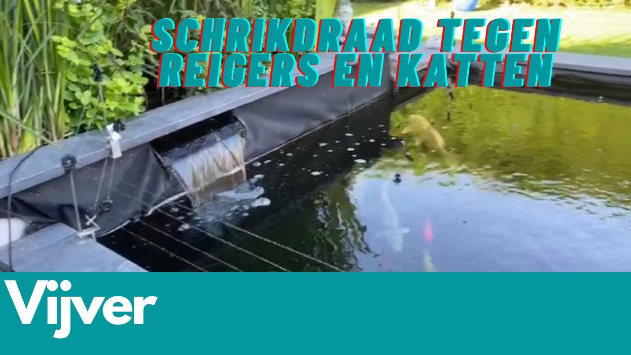 Demontabel schrikdraad rond de vijver tegen reiger en katten | Schrikdraad Online