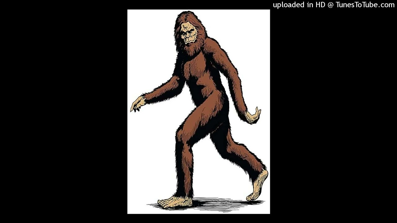 Tyler, The Creator Type Beat ''SASQUATCH''