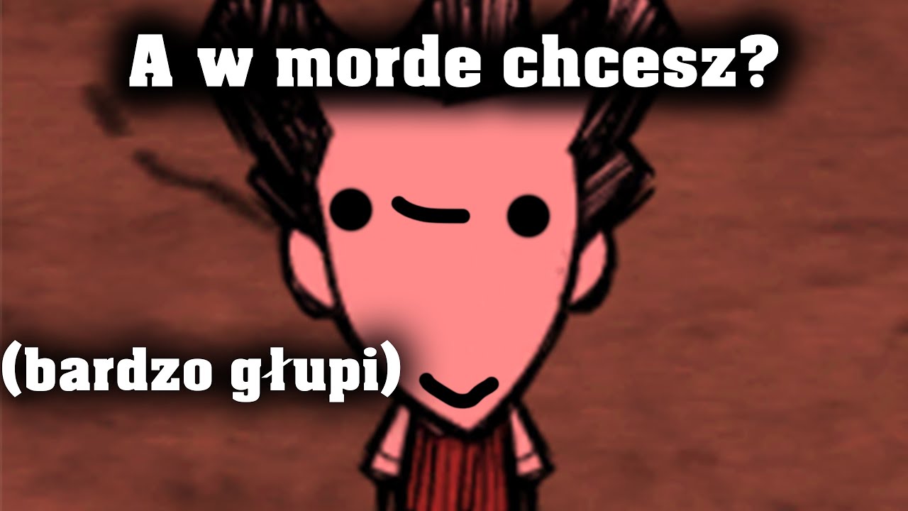 TYPY GRACZY W DST 2