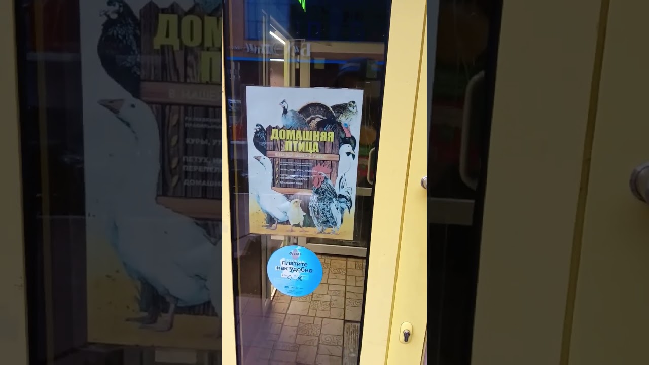 #youtubeshorts #втренде #животные #природа #веган #420 #любовь