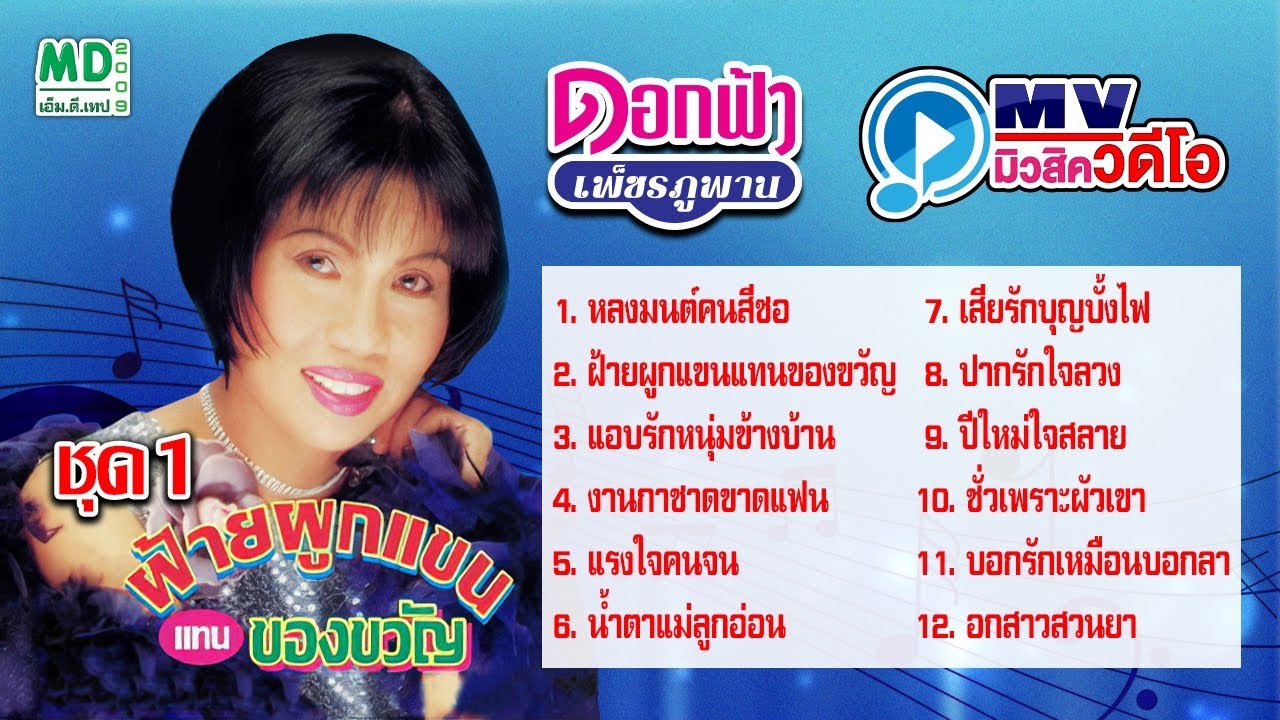 MV ดอกฟ้า เพชรภูพาน | หลงมนต์คนสีซอ - ฝ้ายผูกแขนแทนของขวัญ | Music Video ฟังยาวต่อเนื่อง