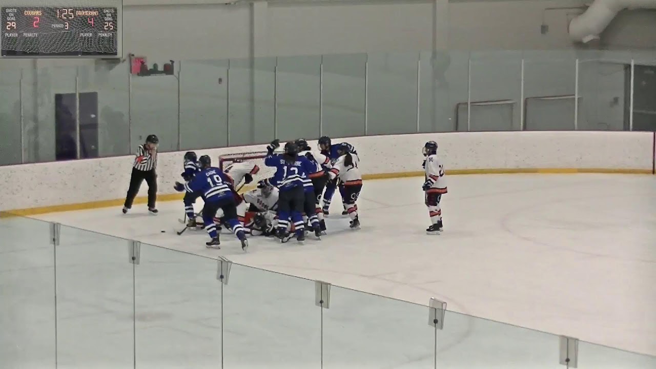 RSEQ Hockey feminin 🏒  Andre-Laurendeau @ Lennoxville [2026-02-15]