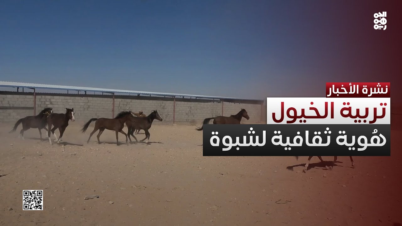 تربية الخيول في شبوة.. هواية وهُوية ثقافية للمحافظة