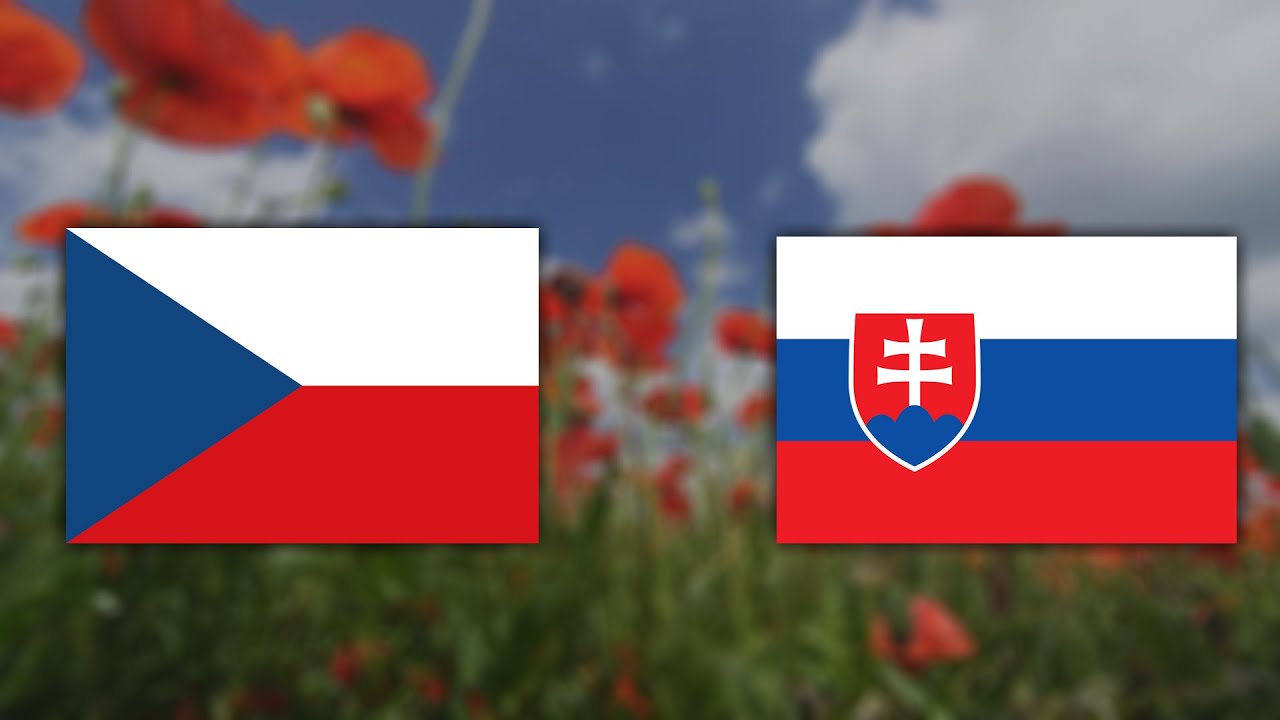 🇨🇿 🇸🇰