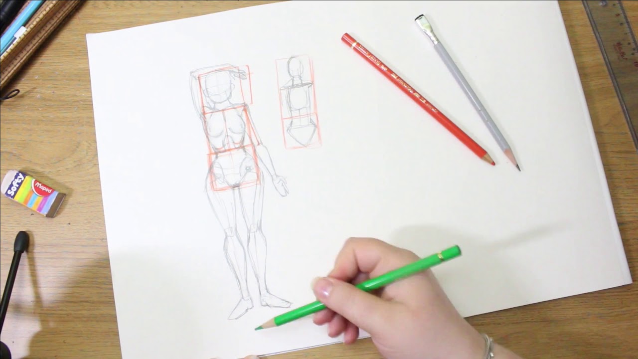 Anatomical Relationships
