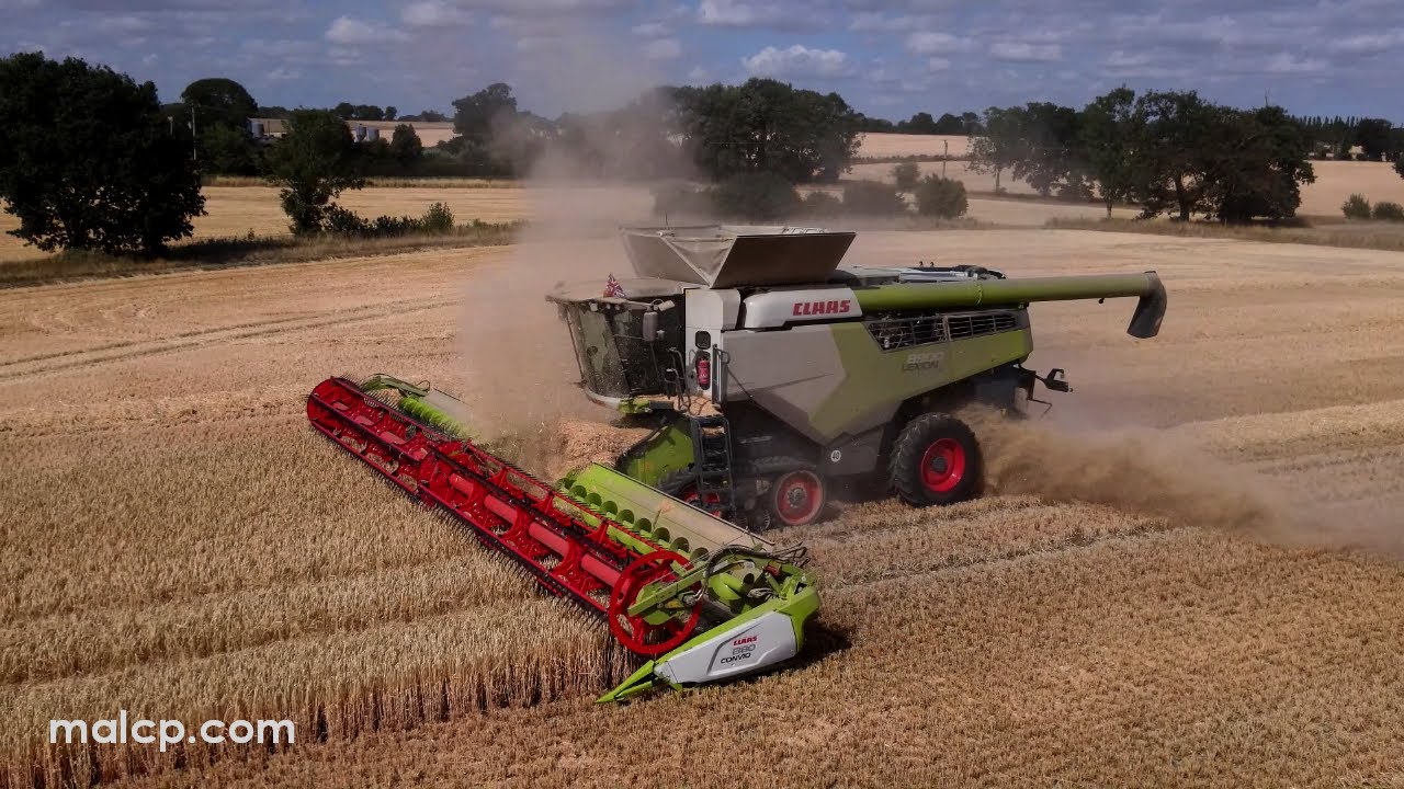 Harvest 2022: Claas Lexion 8900 TT with Convio 1380 header cutting dusty spring barley in Suffolk