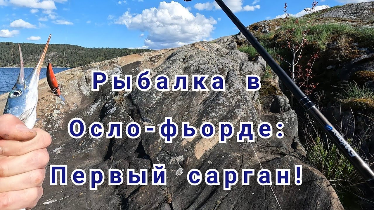 Такого я не ожидал! Рыбалка на Осло-фьорде в Норвегии.