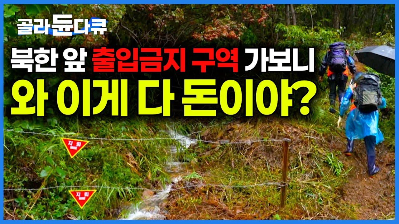 허가 없이는 못 들어간다. 사람 발길 끊긴 민통선 들어가보니｜사람이 없으니 산에 돈이 널렸다｜토종꿀과 송이 주워 맛보는 가을｜한국기행｜#골라듄다큐