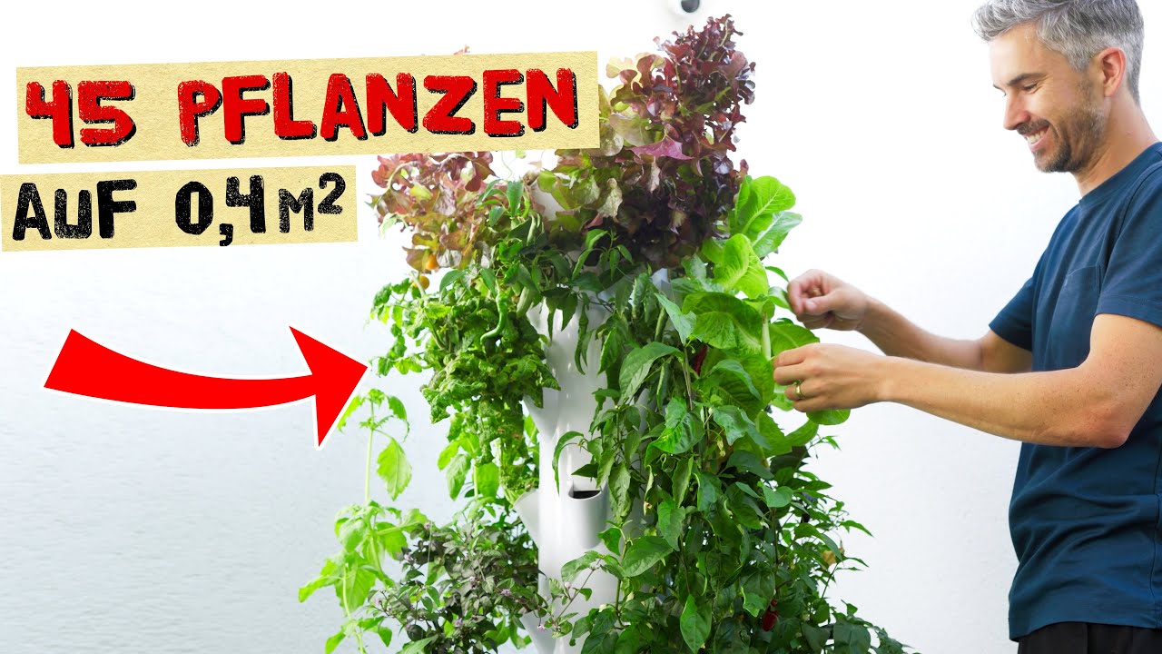 Viele Pflanzen auf wenig Platz - Gemüse, Erdbeeren und Kräuter in Hydroponik auf Balkon und Terrasse