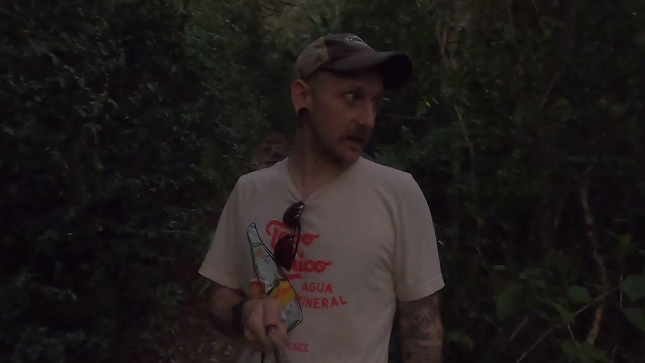 Magen's Bay Trail - Lost in the Rainforest