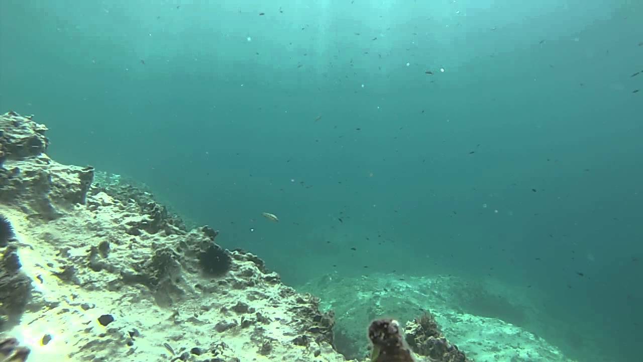 GoPro 3+ - Fondali del Salento, Porto Cesareo ( LE )