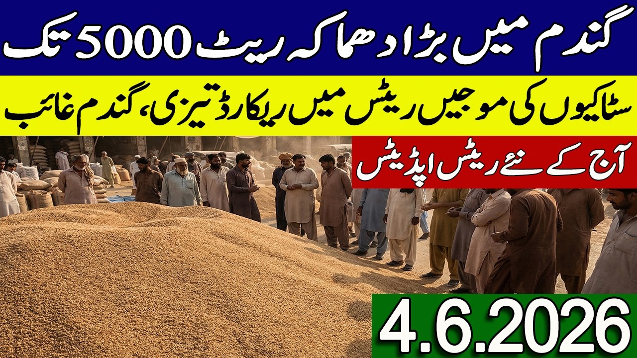 New Gandum Rates Today 2026 || New Wheat Price Today || Gundam kay Rates Today 2026