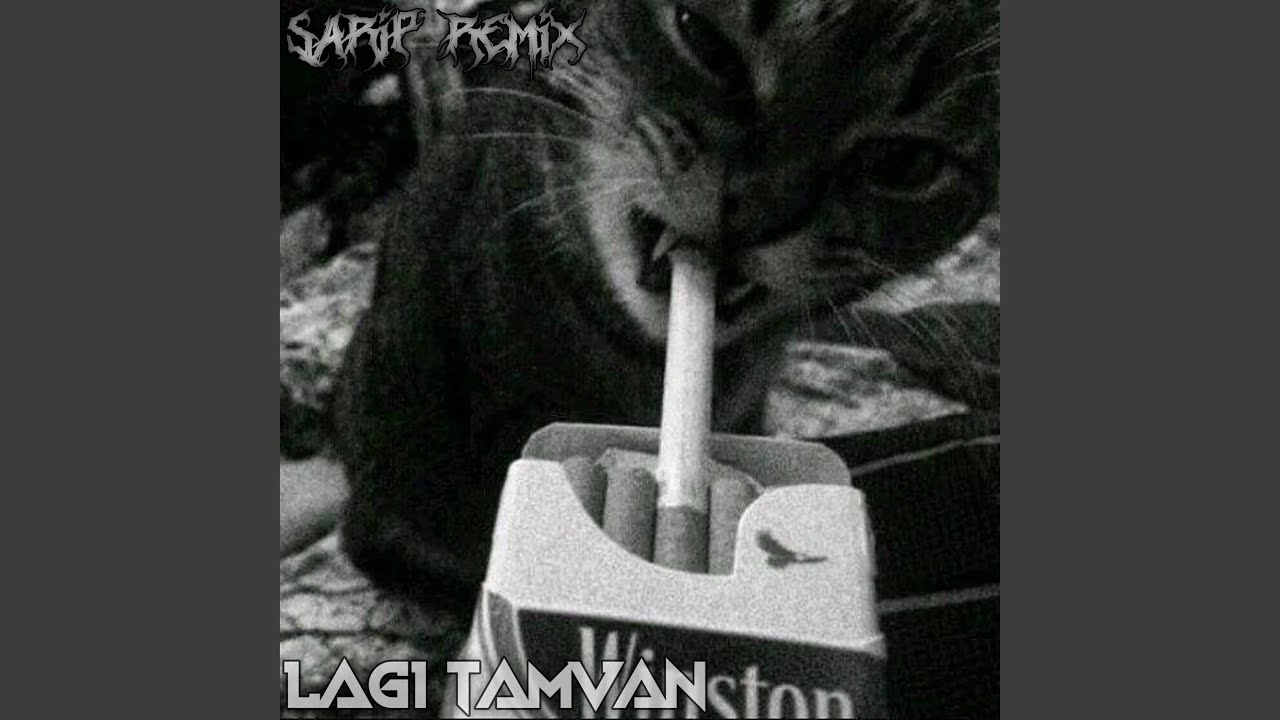 Lagi Tamvan