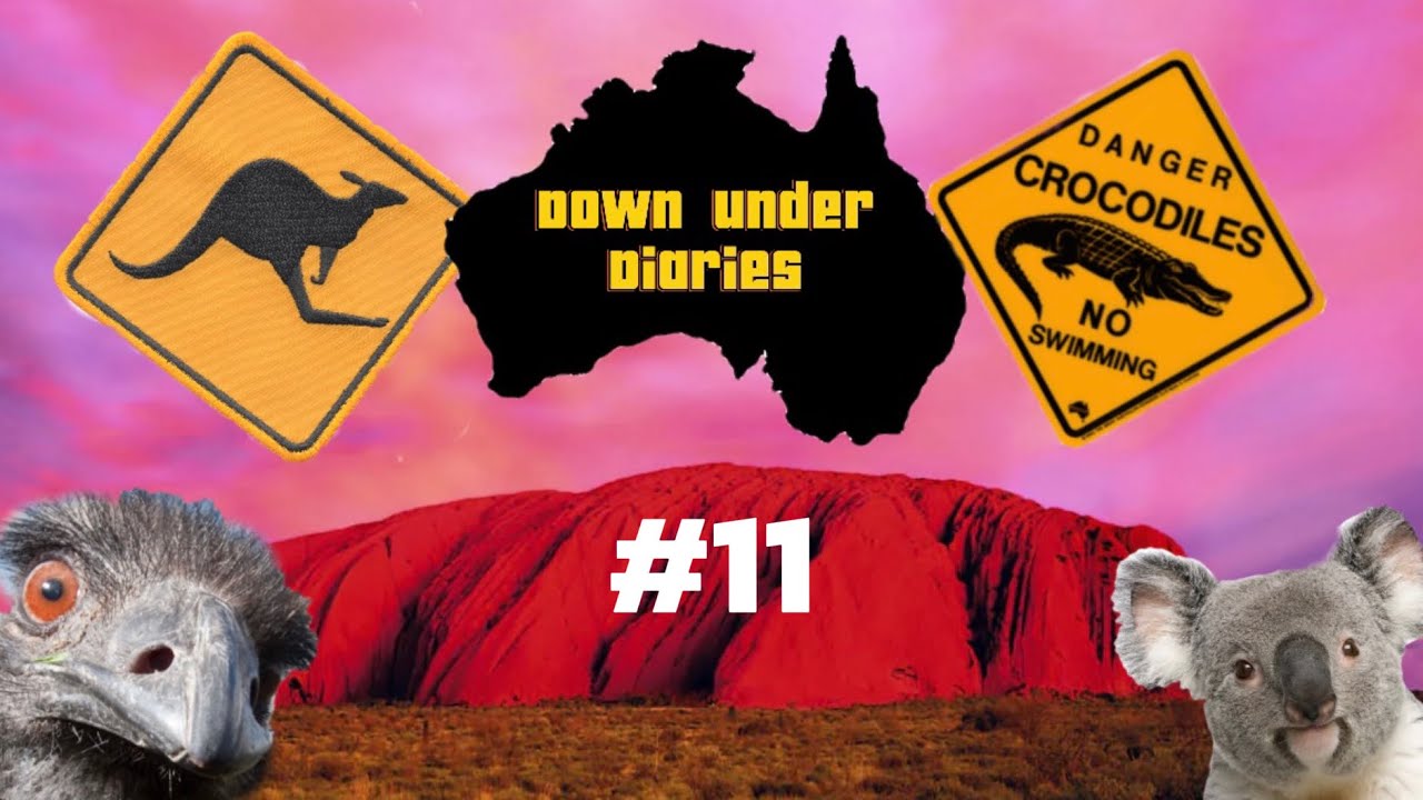 Down Under Diaries | Brighton Beach, WHV Struggles, Parties 