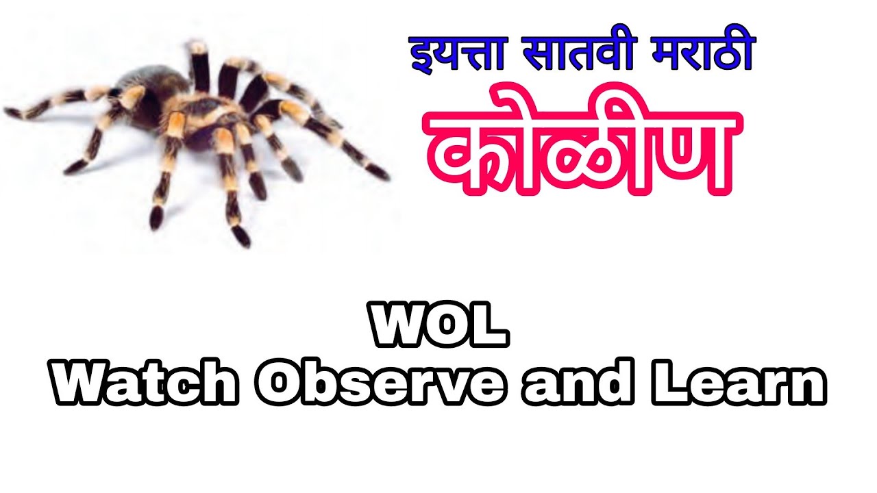 १६ कोळीण सातवी मराठी