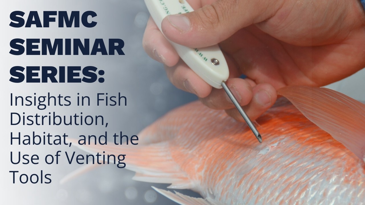 SAFMC Seminar Series: Insights in Fish Distribution, Habitat, and the Use of Venting Tools