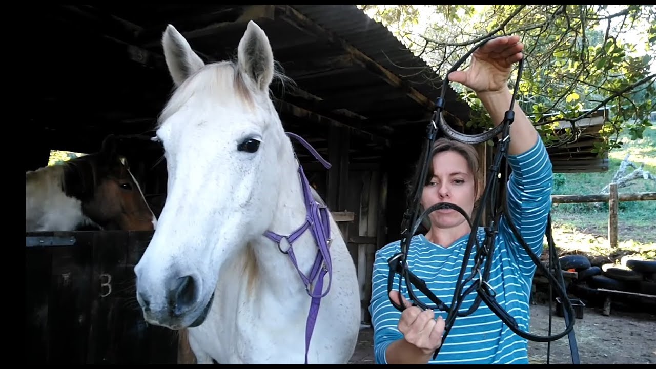 How to: Put On a Bitless Bridle - Side-pull and Cross-under