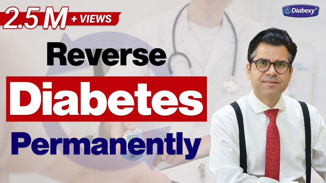 The Science of Insulin & Blood Sugar | EDU 4 | Diabexy