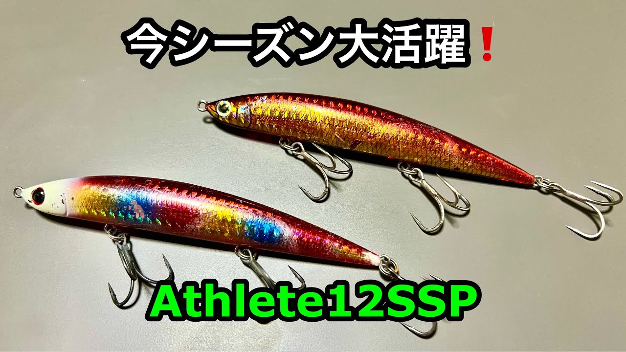 オオニベチャレンジ：Athlete 12SSP 釣果 まとめ