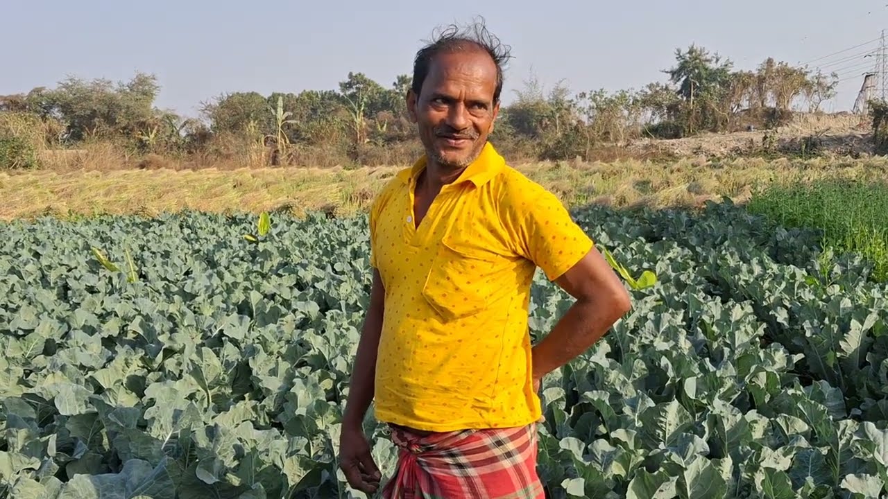 Kolkata  moddhe nature #nature #organic vegetables #nature