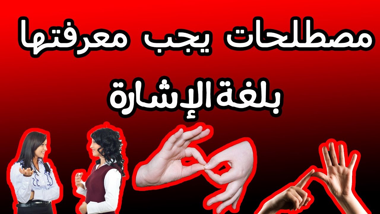 الدرس الخامس والعشرون: مصطلحات يجب معرفتها بلغة الإشارة #لغة_الإشارة  #علا_علاونة