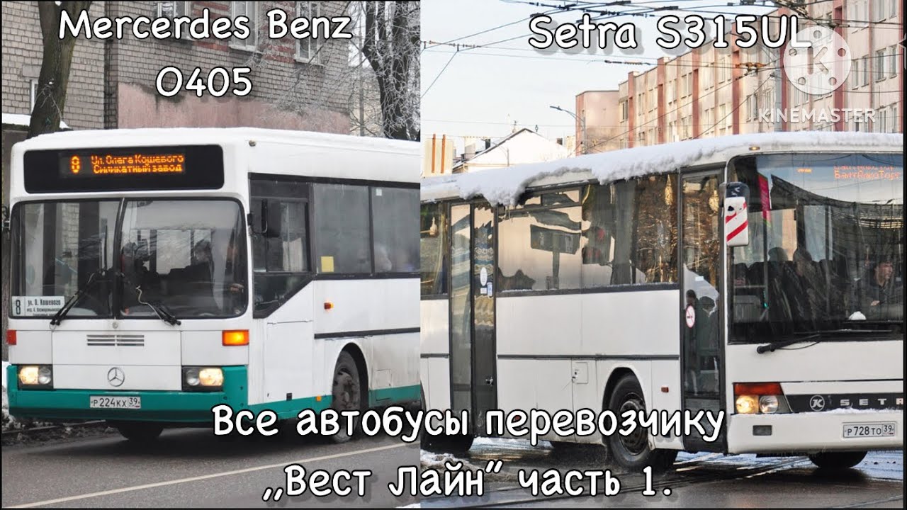 Все автобусы перевозчику ,, Вест Лайн’’ часть 1. Часть 2 - 50 лайков.❤️