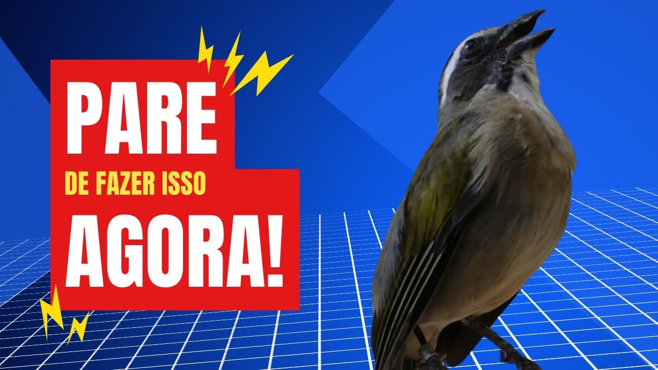 OS 3 TIPOS DE TRINCA-FERROS QUE N&Atilde;O S&Atilde;O BONS DE VOC&Ecirc; TEM EM CASA