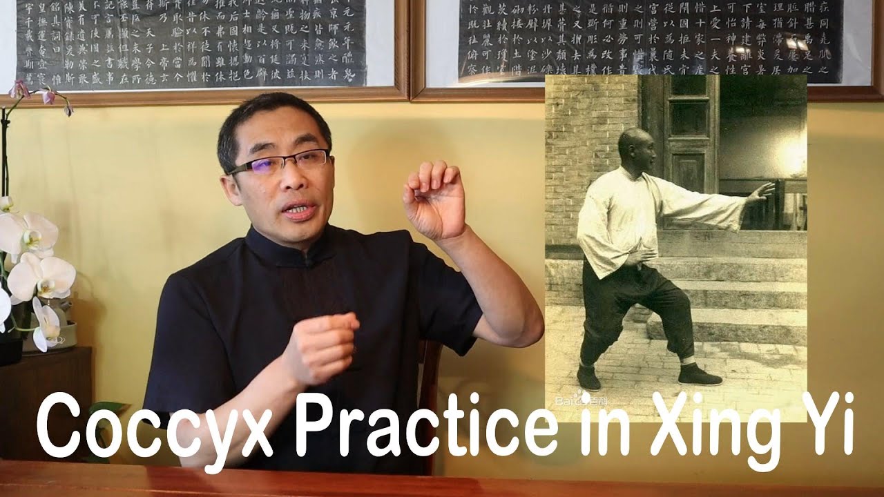 Internal Style Concepts (69): Coccyx in Xing Yi