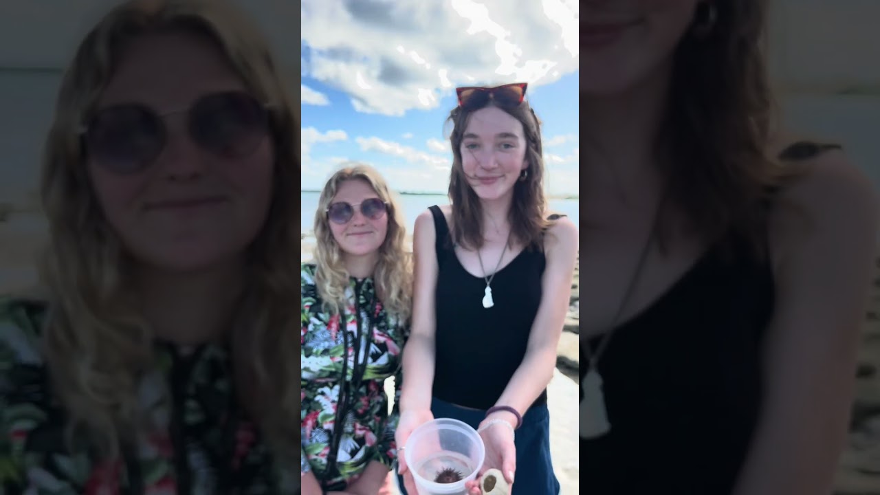 Fall 2024 Gap Year Recap