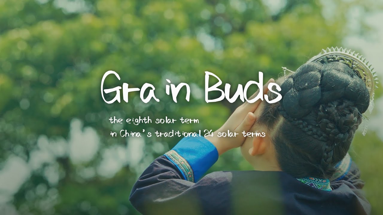Grain Buds