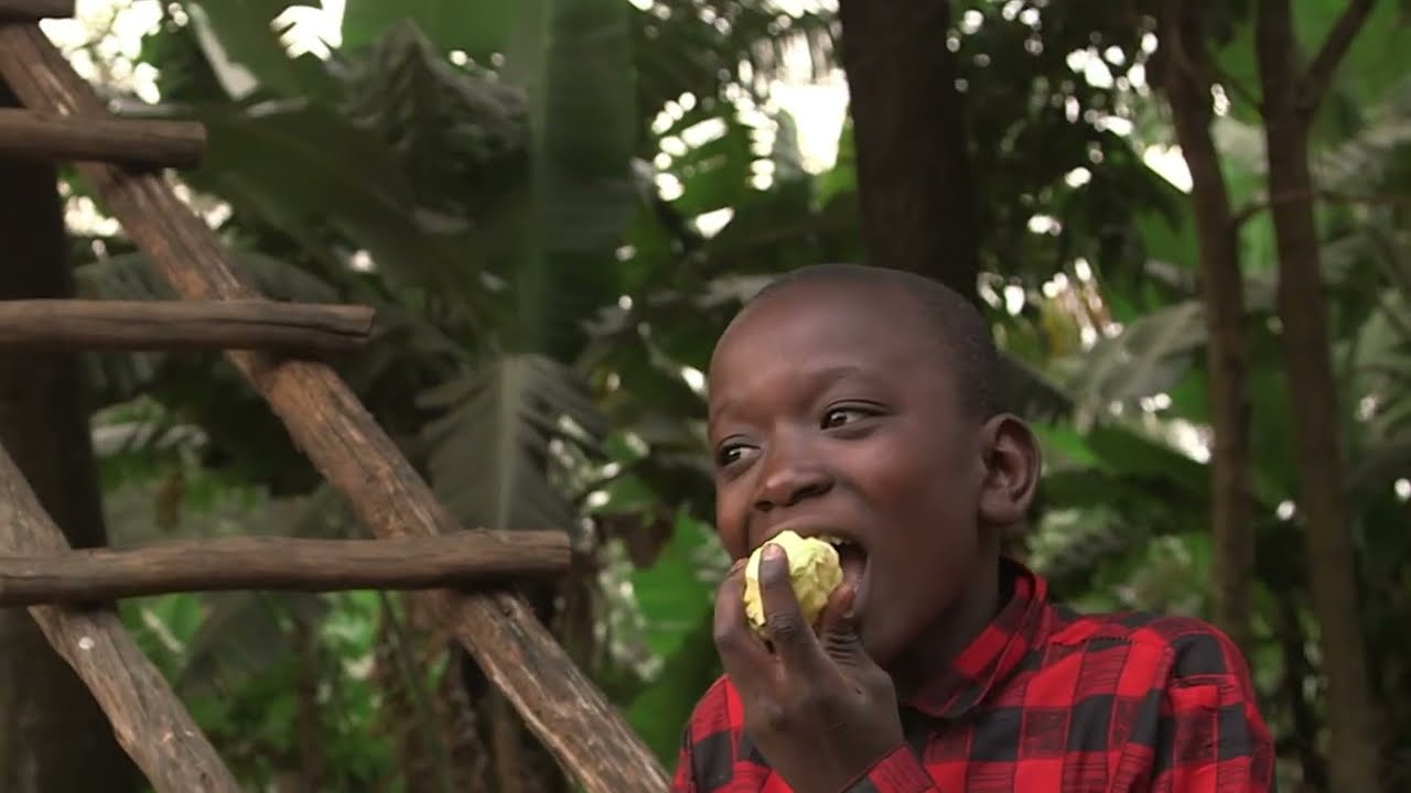 In Uganda: procuring responsibly with FSC