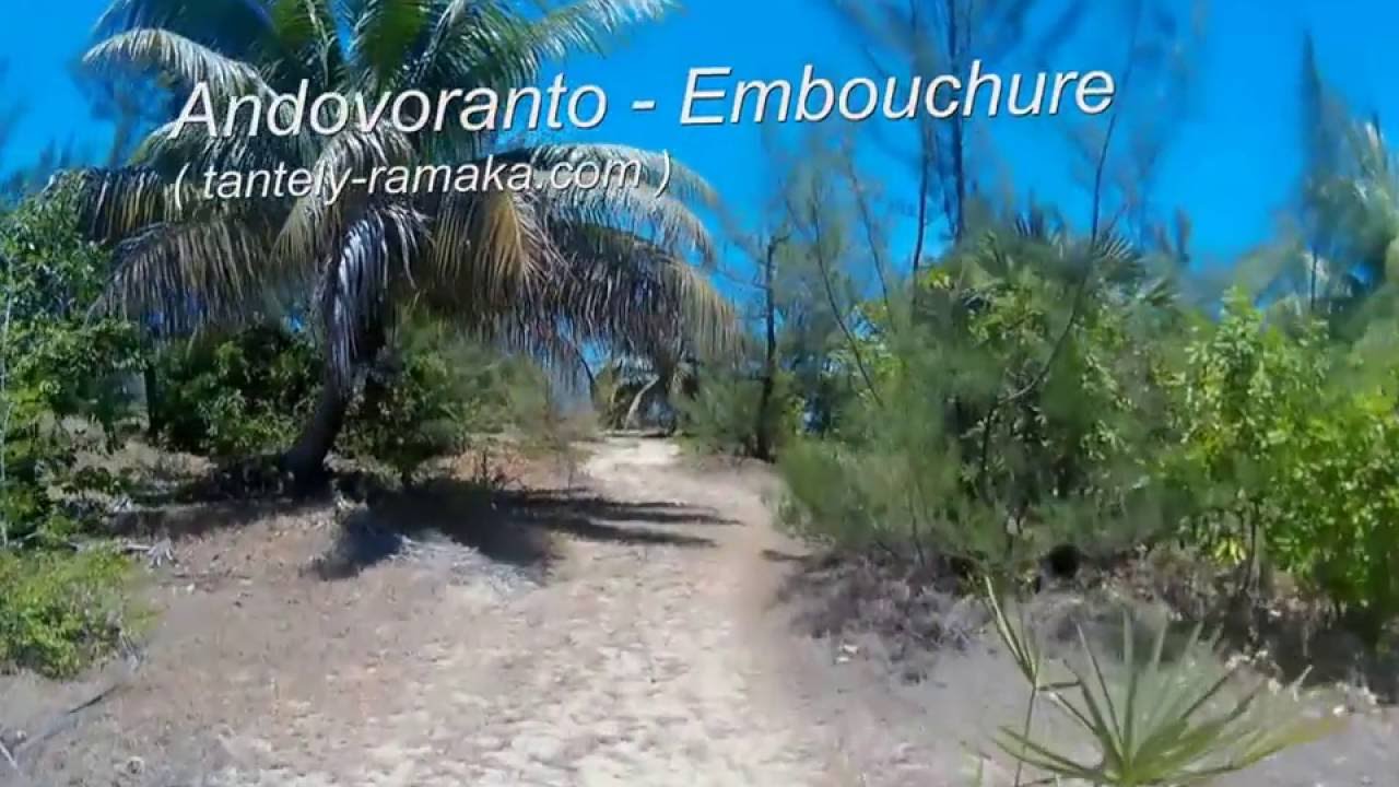 Andovoranto - Vinany