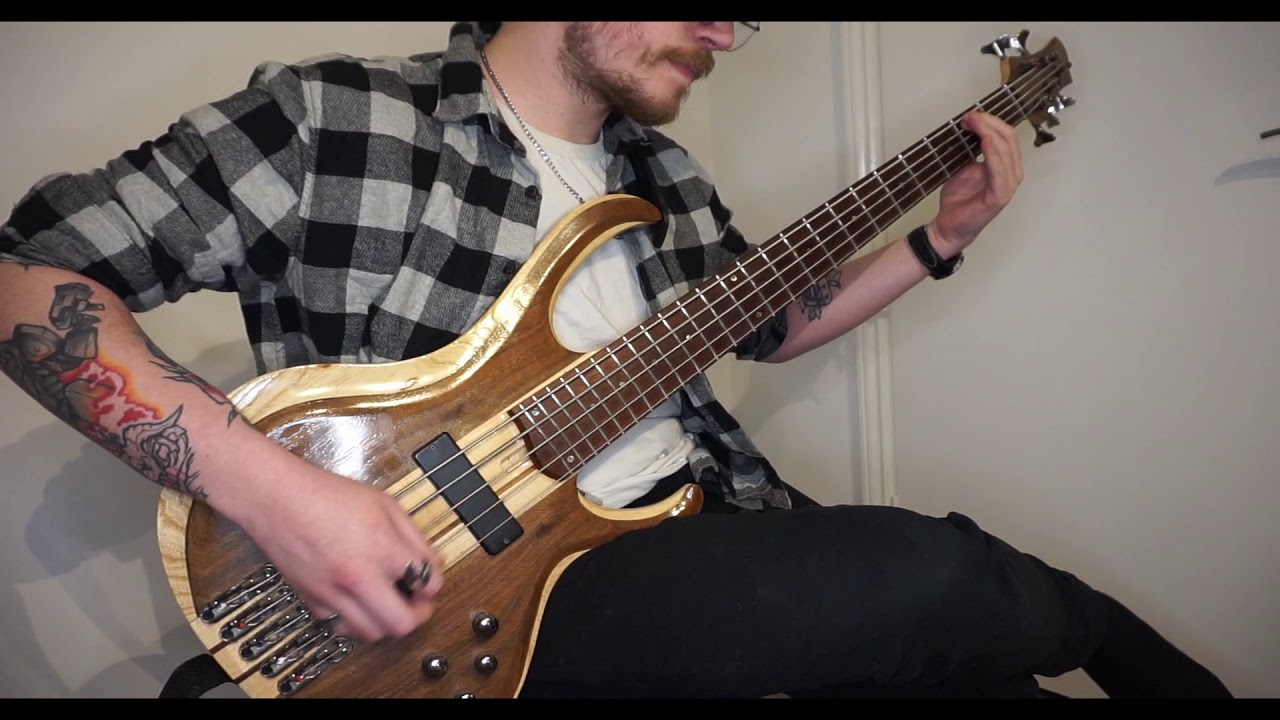 Where are the Birds? by Good Tiger | Bass Cover by Paddy Collier
