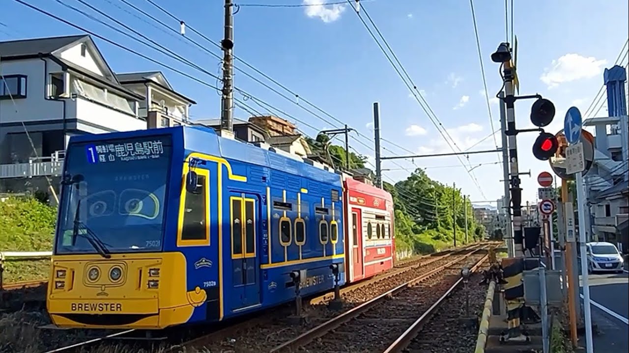 【市電とJR】の南港踏切   　　#鹿児島市電 #tram #鹿児島百景