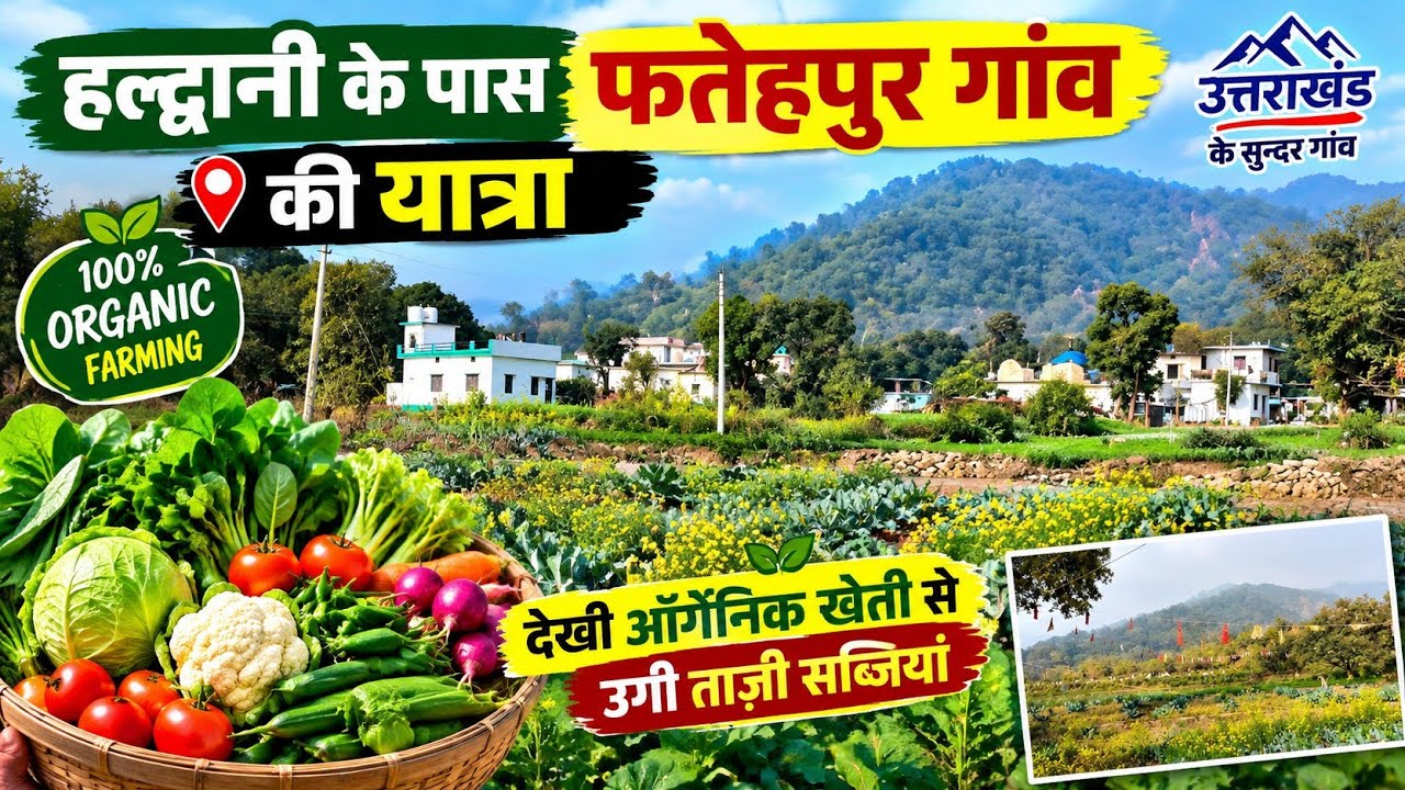A Trip To Uttarakhand Village Fatehpur - एक सैर उत्तराखंड के खूबसूरत गांव की, फतेहपुर ज़िला नैनीताल